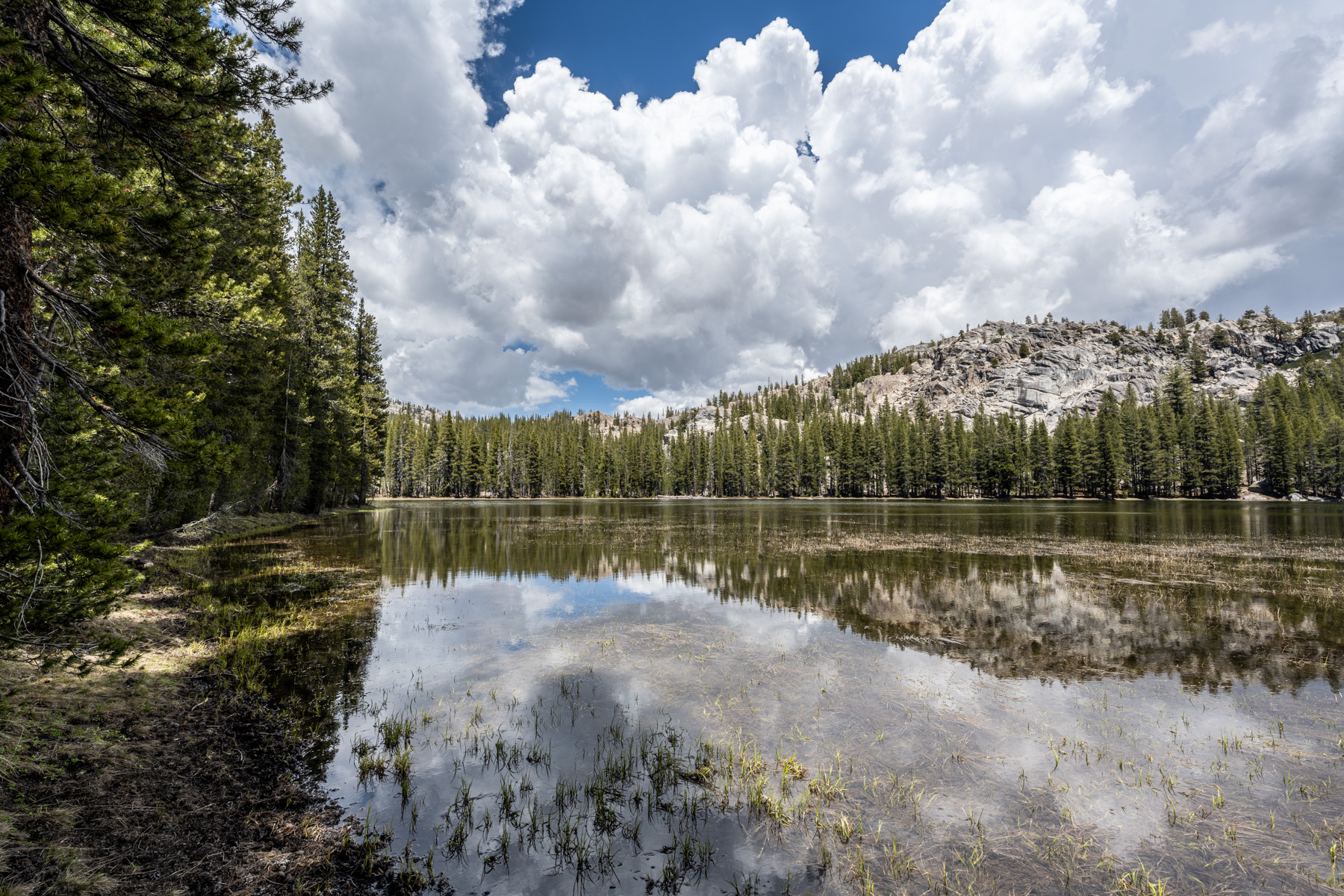 Wilma Lake